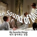 스마일님신청곡) My favorite things - 사운드오브뮤직중 이미지