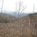 순천시립 공원묘지 Daum카페
