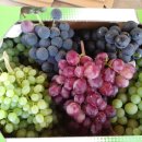 예은농장 이미지