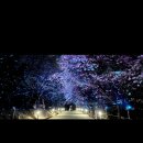 승학산 배드민턴장 이미지