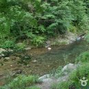 고산자연휴양림 이미지