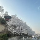 새나드리 | [음성 돈까스 맛집] 완전 레트로 갬성 뿜뿜 원조 빼밀리 레스토랑 ! 새나드리 레스토랑 후기