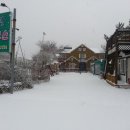 안면도 풀하우스 펜션 이미지