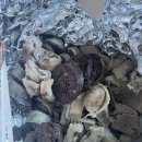 하대동291 | 경남 진주 국밥 삼일동안 투어해봄ㅎ