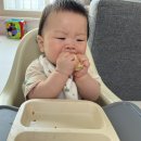 슈렉목장 이미지