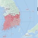 내가 만든 쿠키 이미지