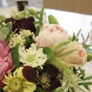 더 올림(The Ollim) 이미지