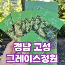 (주)웰리브 다정도시락 | 경남 고성 그레이스정원 7월 방문 후기 #경남고성 #그레이스정원 #수국개화시기 #수목원 #경남...