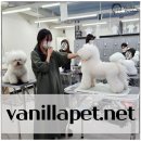 명문애견 이미지