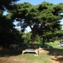 이여발묘 이미지