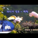 백학 이미지