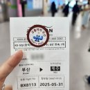 김해공항안내소(국내선) | 김해공항 국내선주차장P1 후기 17주임산부 교통약자우선