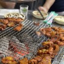 고향생돼지 이미지