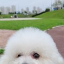 덕수공원 네이버블로그