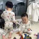 오르다T 이미지