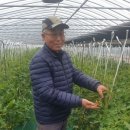 덕우농장 이미지