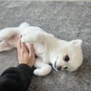 이모네집 | 이모네 집 후기