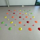 개와 집사의 시간 이미지