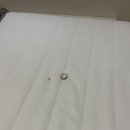 ikea 매트리스 판매합니다 오늘이나 내일 픽업시 10불 할인해드려요!!! 이미지