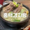 홍백감자탕 | 인천삼산월드체육관 근처 감자탕, 해장국 맛집 <홍백감자탕>