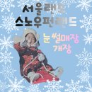 불꽃 | 서울랜드 눈썰매장 연간회원권 불꽃쇼 후기