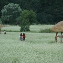 새이모퉁이 이미지