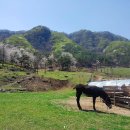 도예목장 이미지