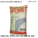 흥진상사 이미지