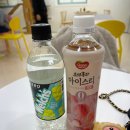 구미 고양이카페 분양 제이캣 이미지