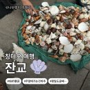 청도가는길 | [중국_칭다오]청도 필수 관광지 잔교 솔직 후기🤭 가는 길은 최고였지만 잔교는 기대 이하였던 이유(위치...