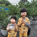 겨리농장 이미지