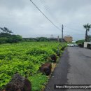 남원읍-13 이미지