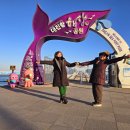 대진해상공원 이미지