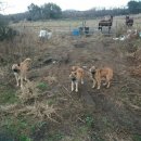 무리개농장 이미지