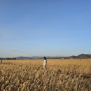 호텔아이엠 이미지