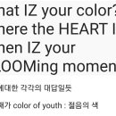 Color of youth 뜻 풀이 이미지