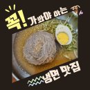 광명동 맛집 광명시장 효자냉면 솔직후기