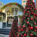 코지빌리지 이미지