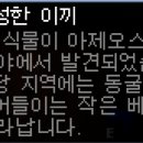 광석농장 이미지