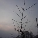 인천성심농원