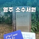 소수서원 관련 고문서 | [영주 여행] 대한민국 최초의 사액서원, 영주 소수서원에서 만난 역사와 소나무숲