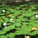 어둔이 화장실 1 이미지