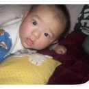 김민찬 카카오 검색결과