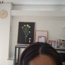 살롱드 메르시 이미지