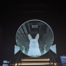 아르떼피아노 - 성남시 분당구 판교로 421 | 아이랑 여수 아르떼 뮤지엄 솔직 후기 | 시간, 가격, 주의 할 점 등