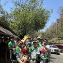 대나무 | 치앙마이 이색 체험, 대나무 래프팅 후기 총정리