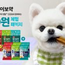 건 덴탈 이미지