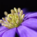 아이언렉스 | 충청북도 흥덕구 아이언렉스, 연락처, 가격, 후기