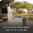 도그몰 | 도그독 듀얼 퍼스트 프리미엄 캠핑웨건, 캐리어 대신 짐 다 실어도 될까