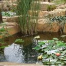 바다향기수목원(바다너울원) 이미지